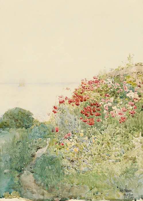 Field of Poppies
