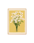 Daisies