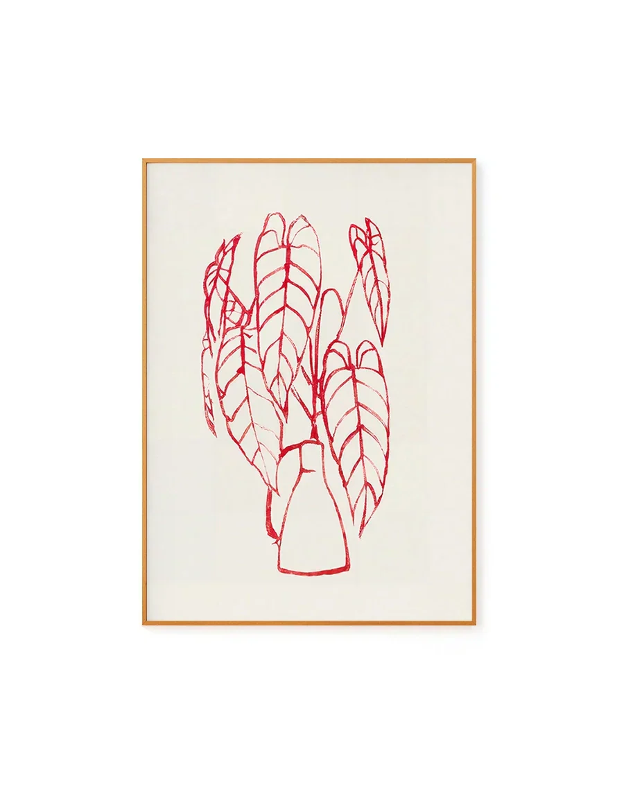 Alocasia