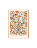 Acanthus Portière by William Morris