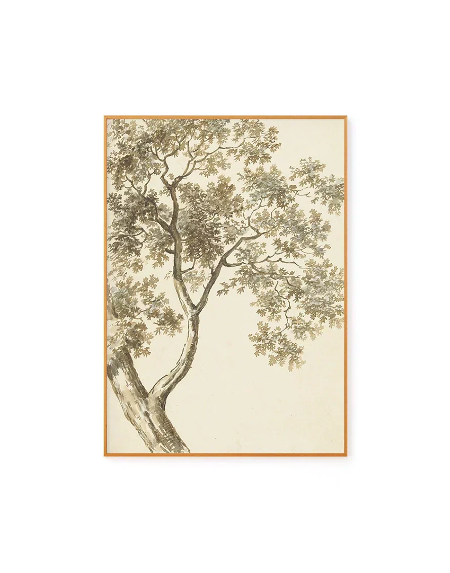 Oak