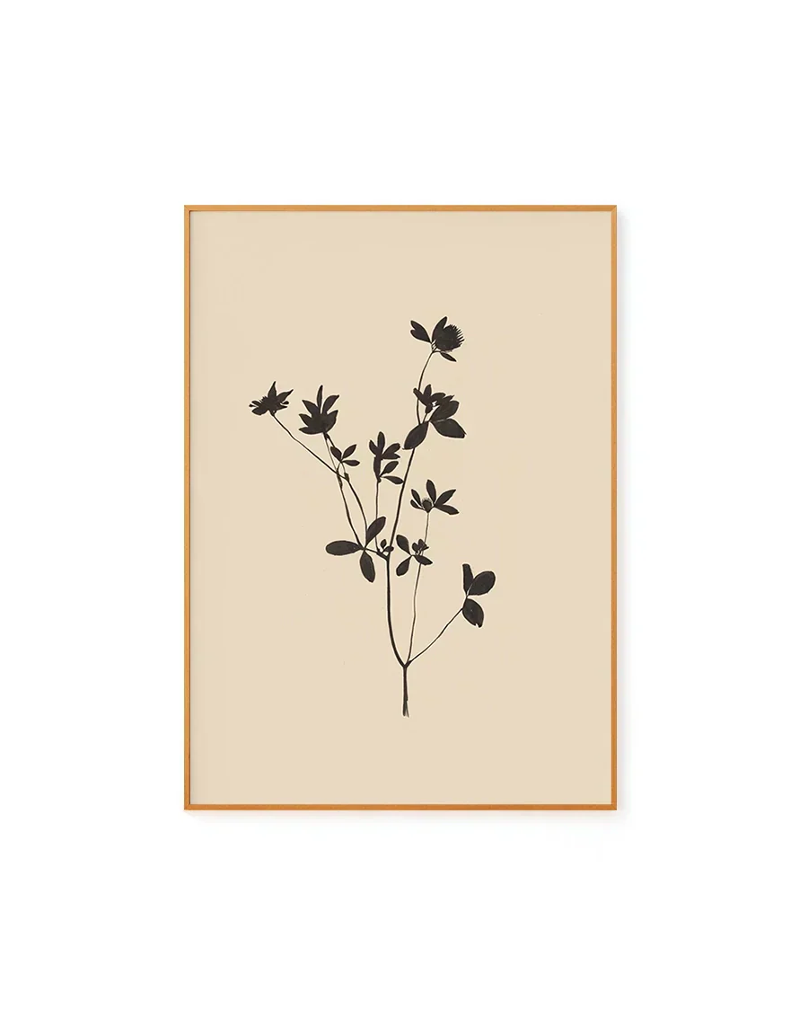 Branch