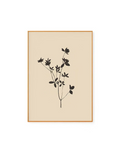 Branch