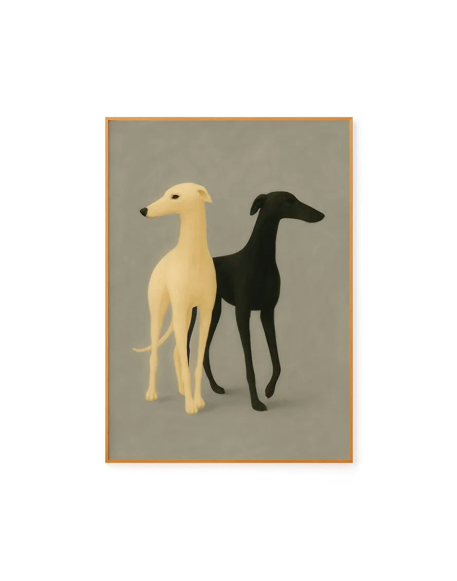 Galgos